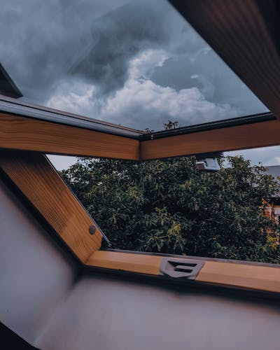 Mgr. Hana Procházková